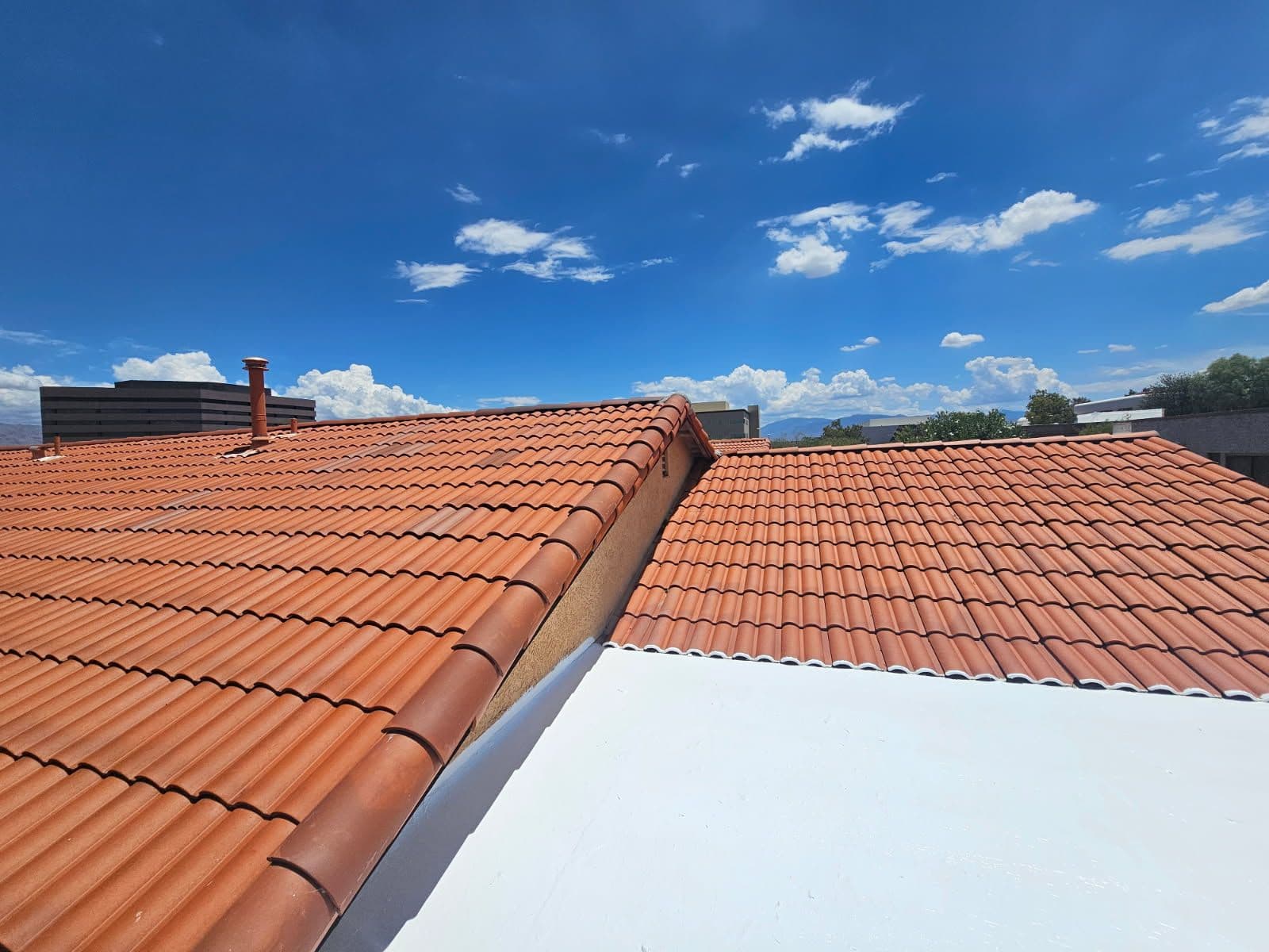 Pristine Red Clay Roof Maintenance in Sunshine image