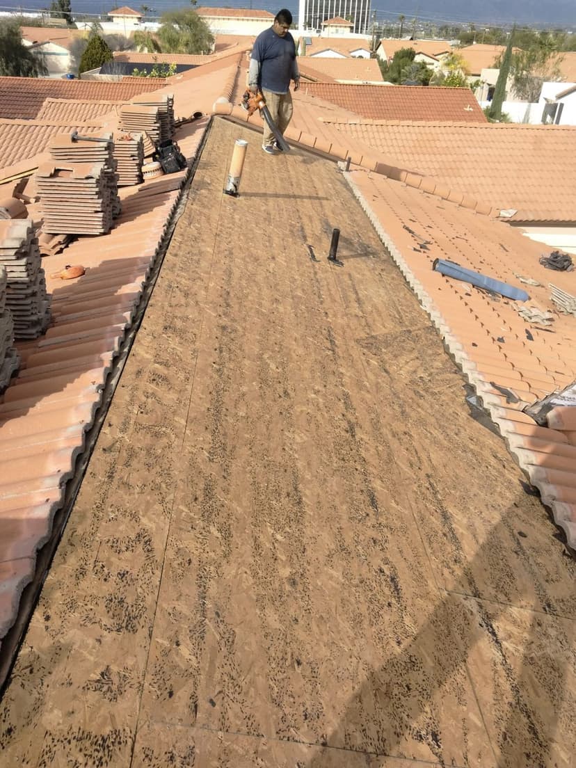 Eco-Friendly Roofing Solutions's image